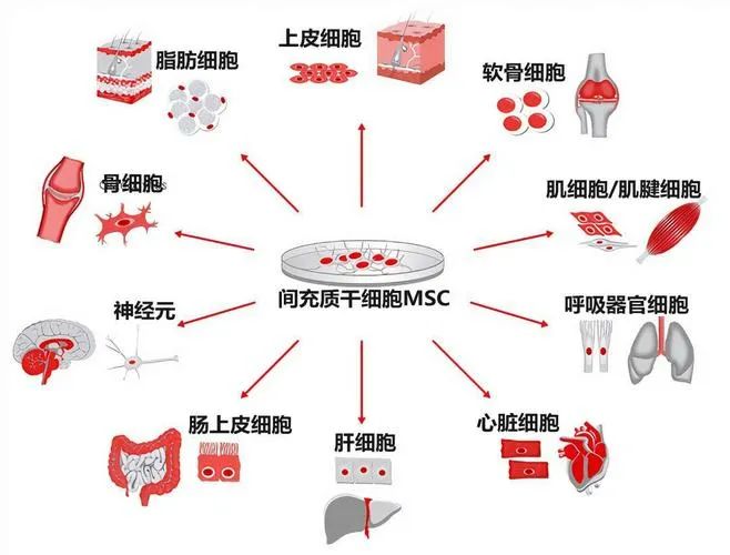 微信图片_20230203160625.jpg