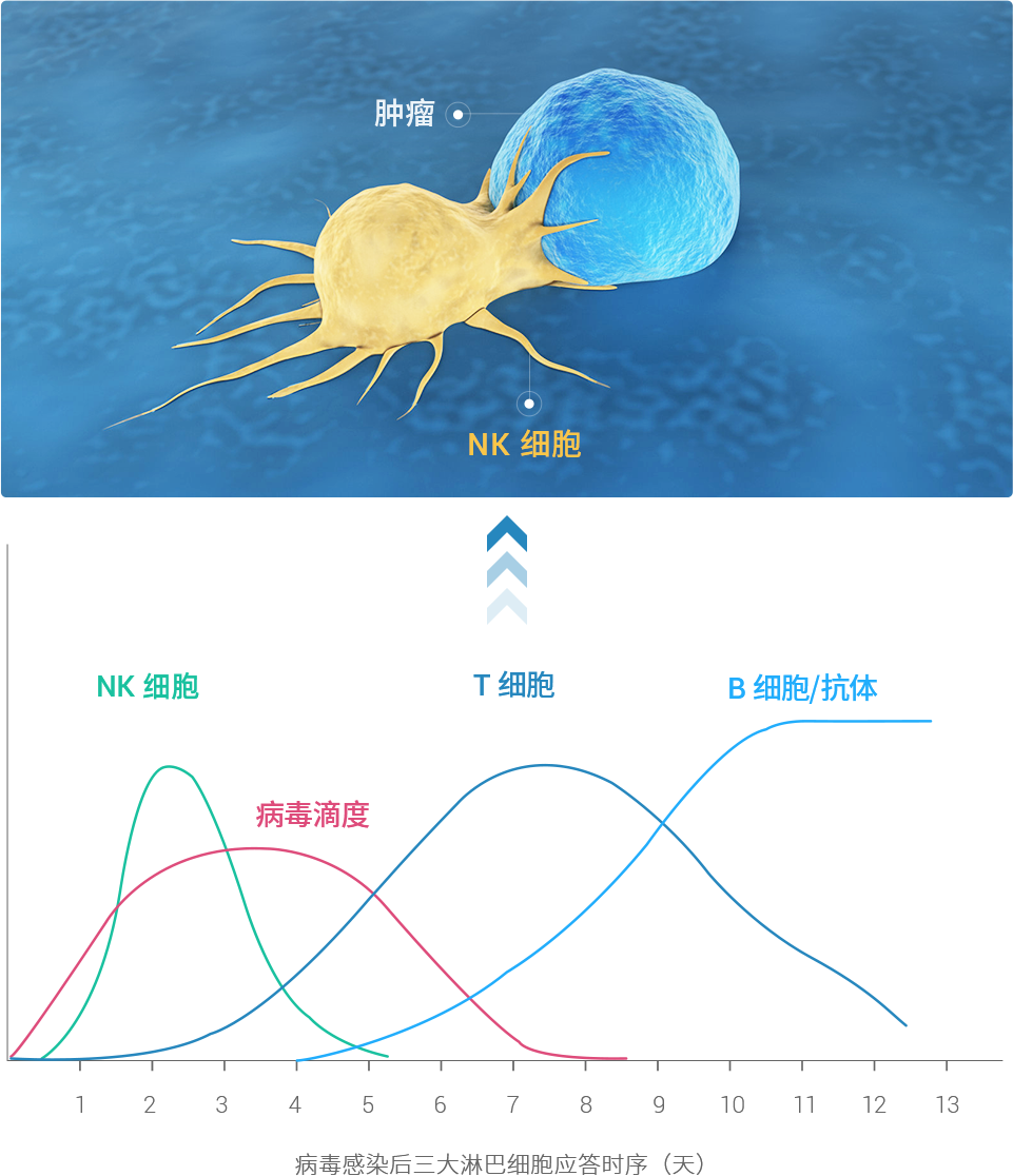 微信图片_20241116143804.png